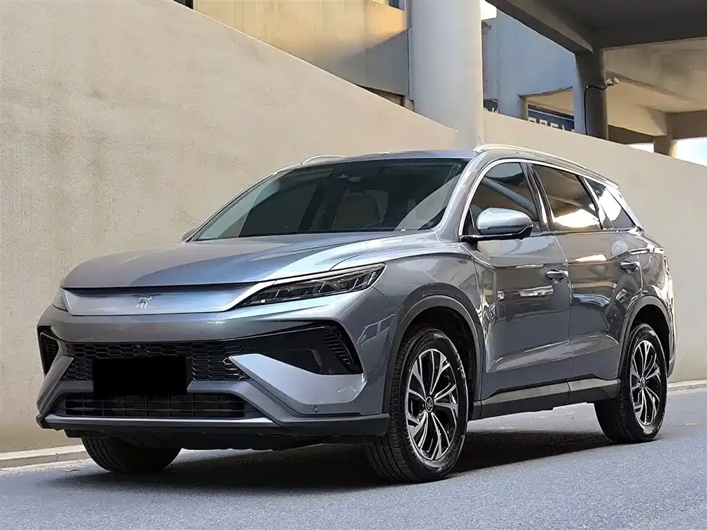 BYD Pro New Energy 2025 из CN, фото 1