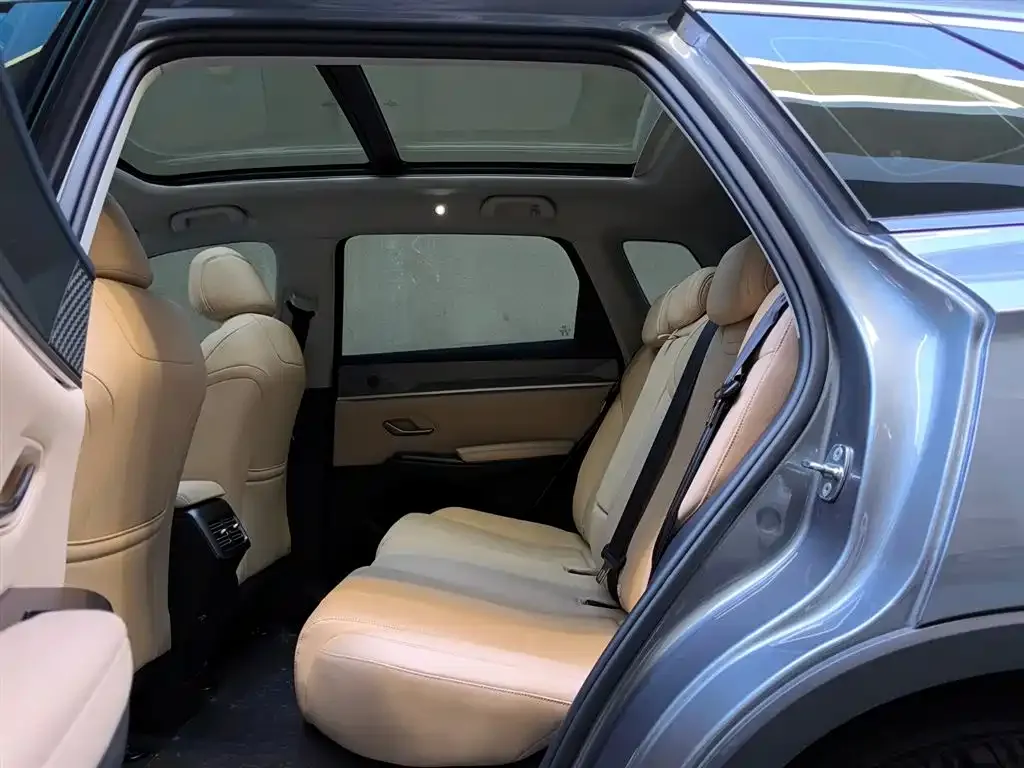 BYD Pro New Energy 2025 из CN, фото 10