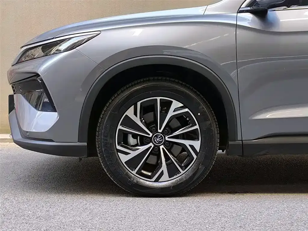 BYD Pro New Energy 2025 из CN, фото 6