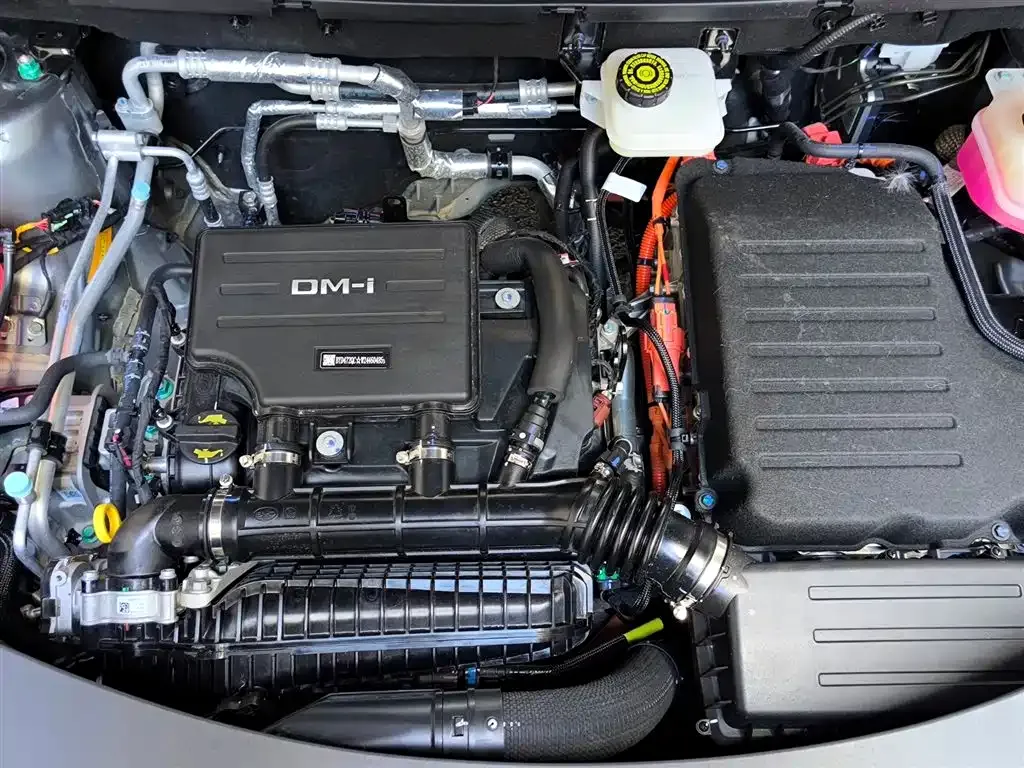 BYD Pro New Energy 2025 из CN, фото 7