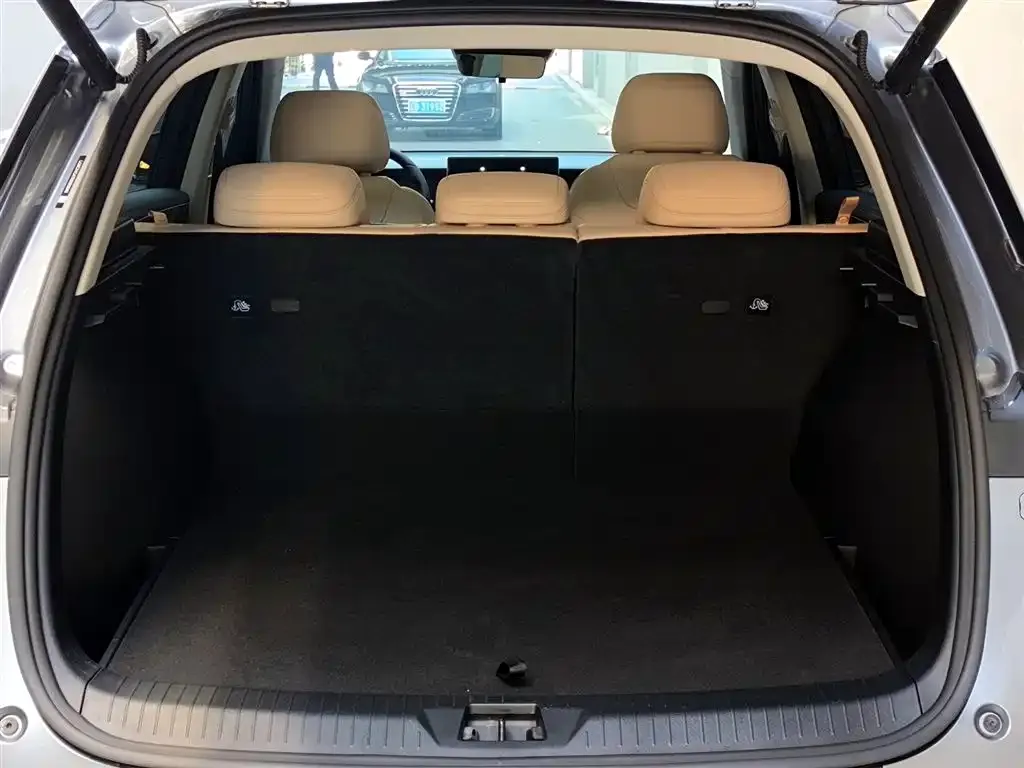 BYD Pro New Energy 2025 из CN, фото 8