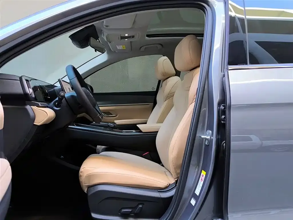 BYD Pro New Energy 2025 из CN, фото 9
