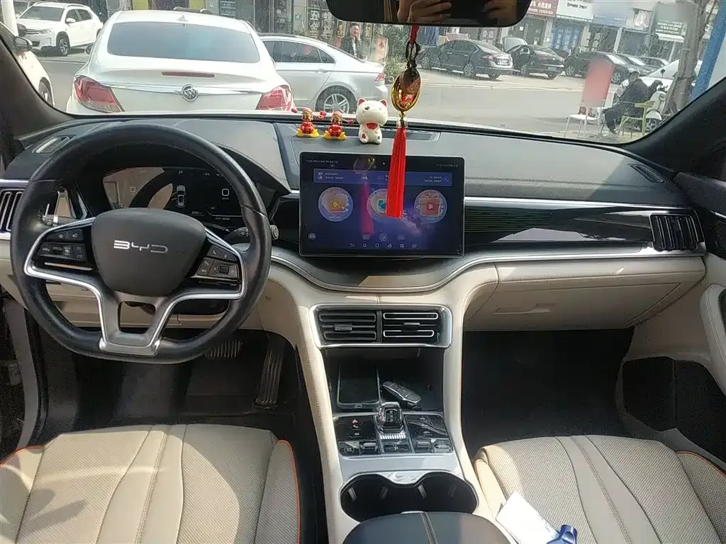 BYD PLUS New Energy 2023 из CN, фото 10