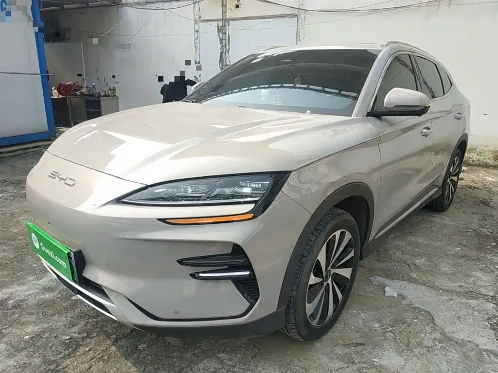 BYD PLUS New Energy 2023 из CN, фото 2