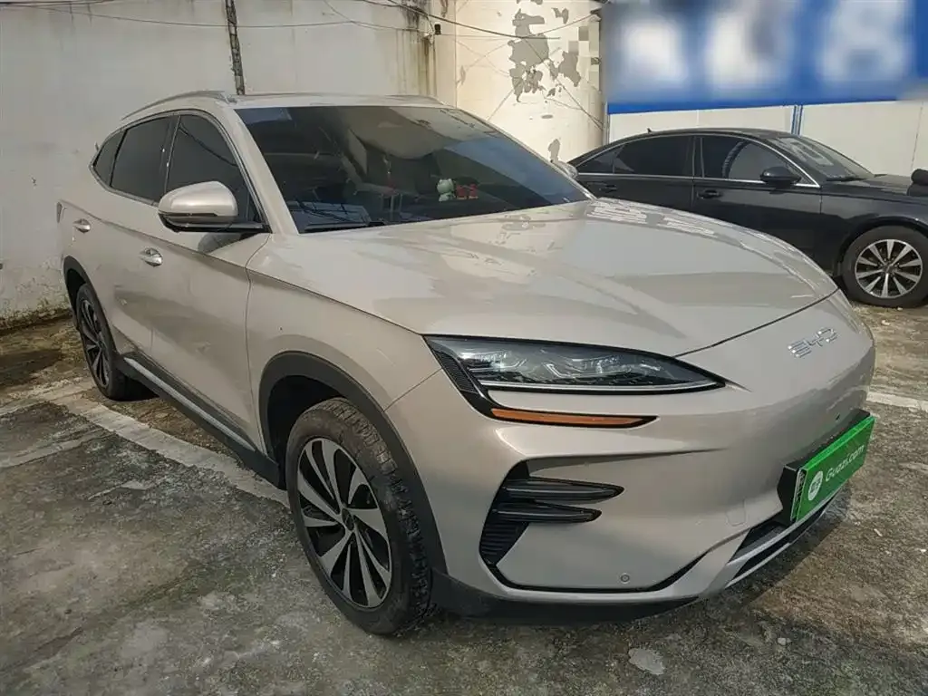 BYD PLUS New Energy 2023 из CN, фото 4