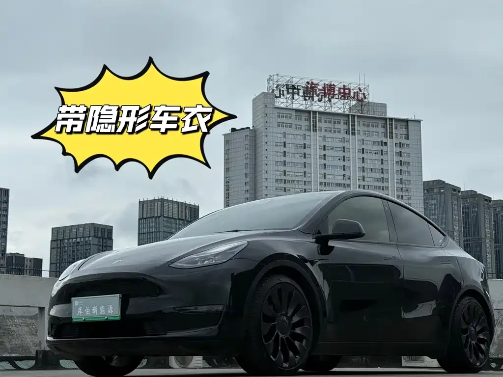Tesla Model Y 2022 из CN, фото 1