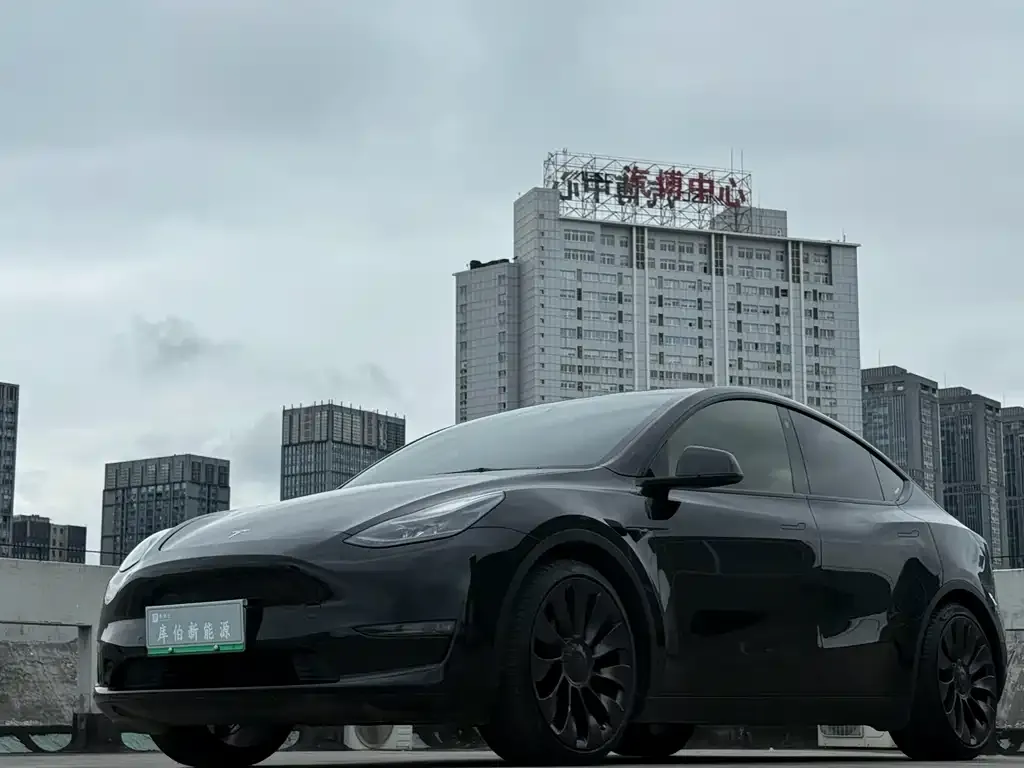 Tesla Model Y 2022 из CN, фото 2