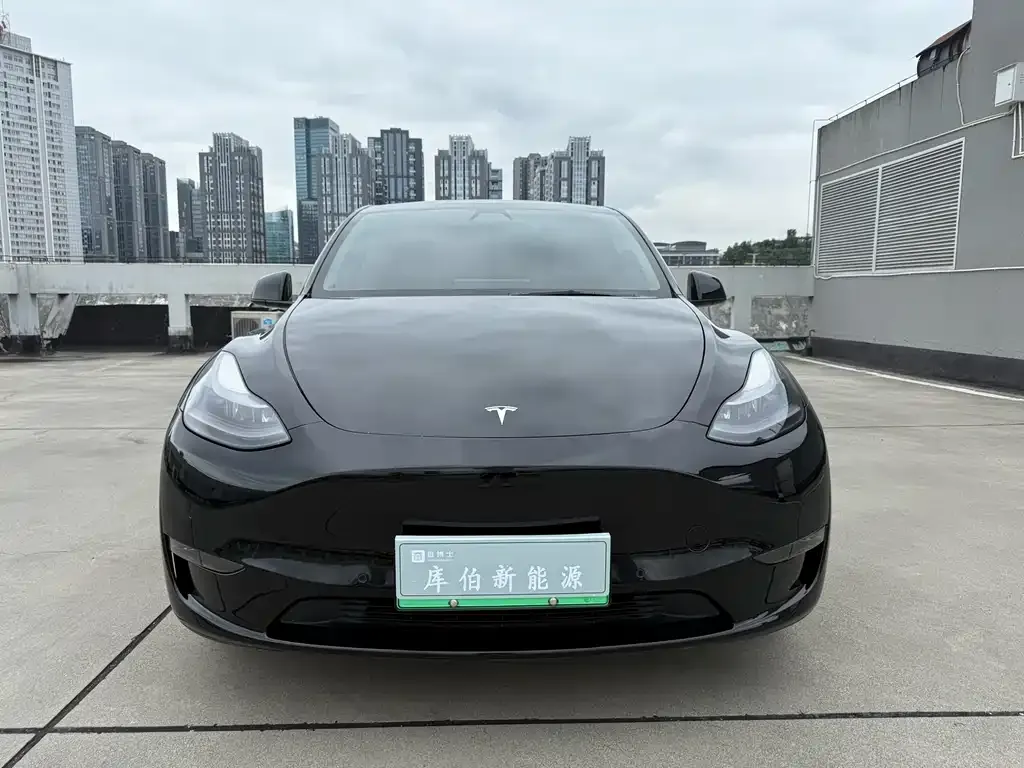 Tesla Model Y 2022 из CN, фото 3
