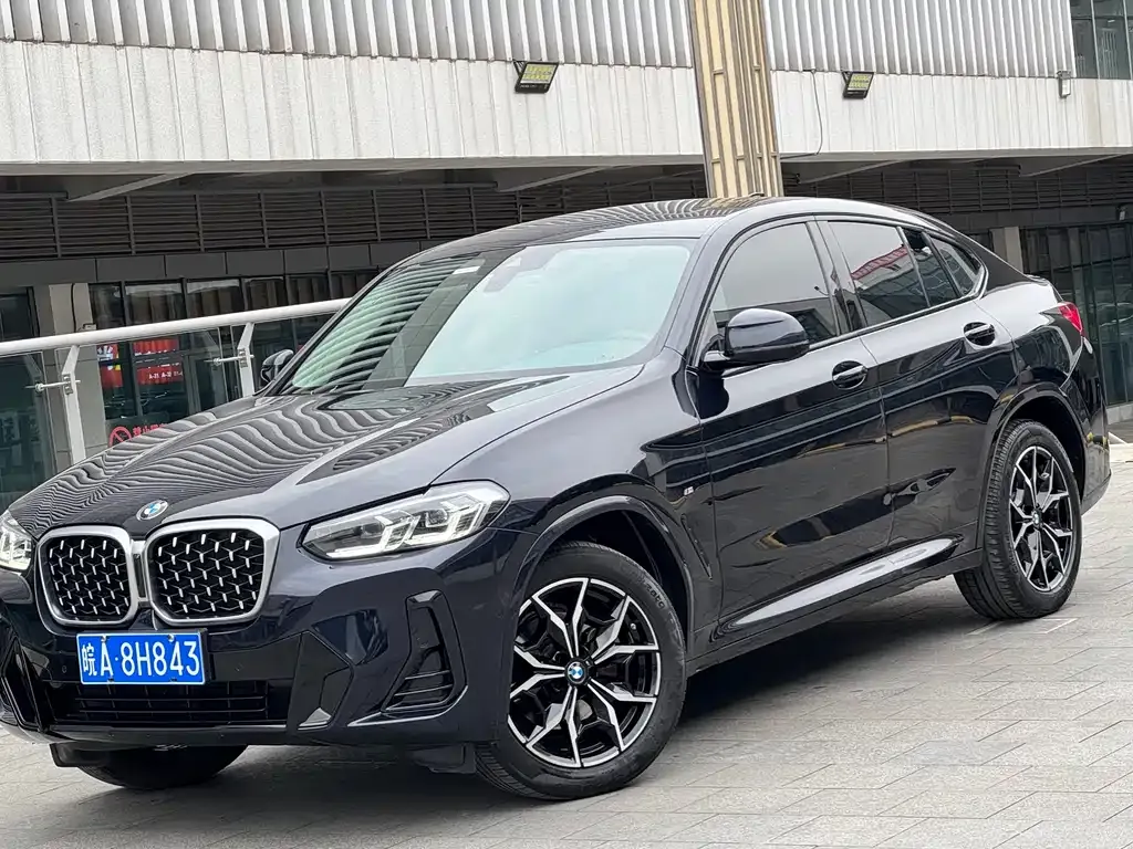 BMW X4 2023 из CN, фото 1
