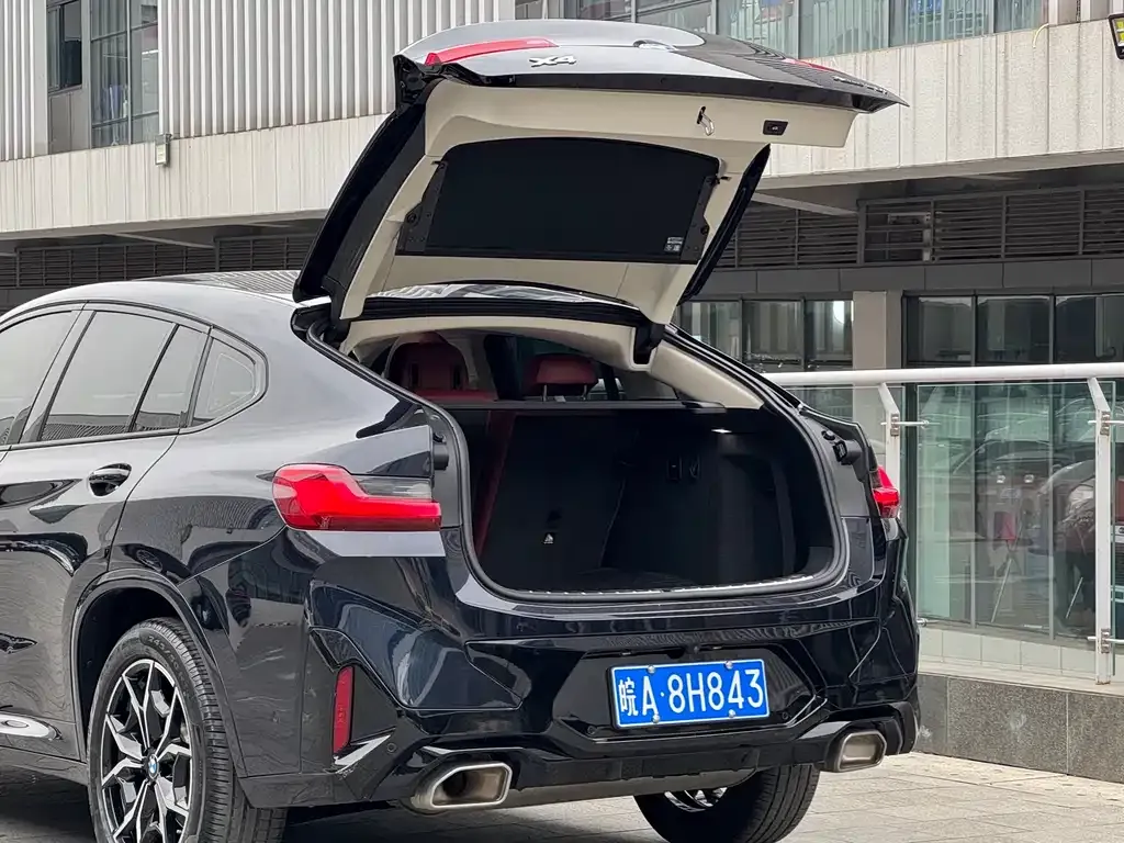 BMW X4 2023 из CN, фото 10