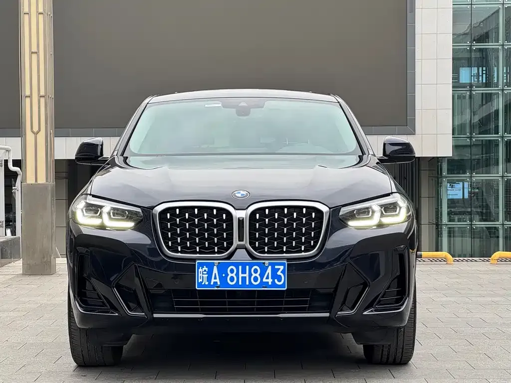BMW X4 2023 из CN, фото 3