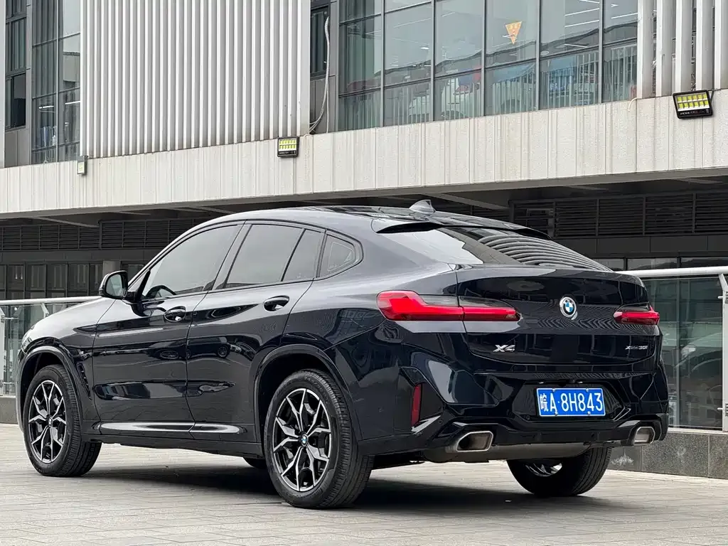 BMW X4 2023 из CN, фото 6