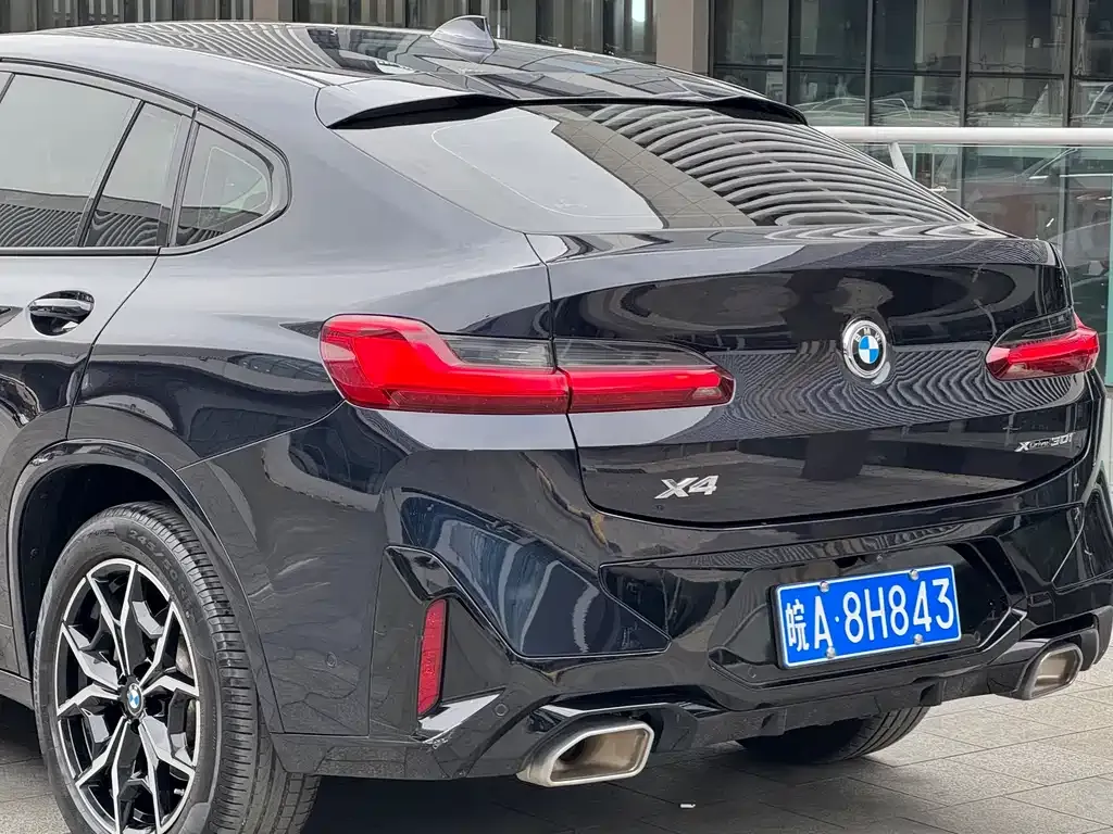 BMW X4 2023 из CN, фото 7