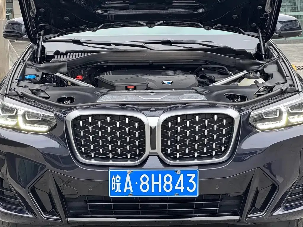 BMW X4 2023 из CN, фото 9