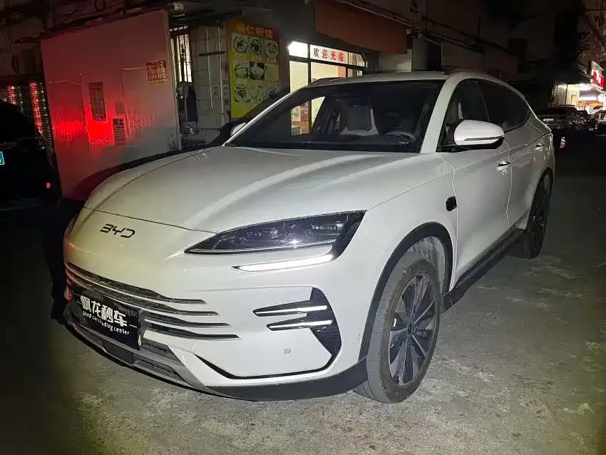 BYD PLUS New Energy — фото 1