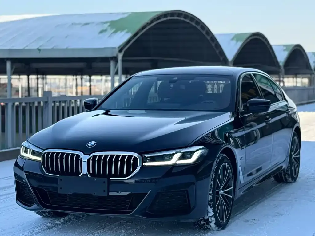 BMW 5 Series 2021 из CN, фото 1