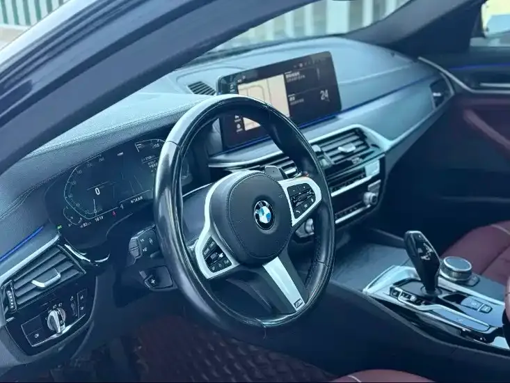 BMW 5 Series 2021 из CN, фото 10