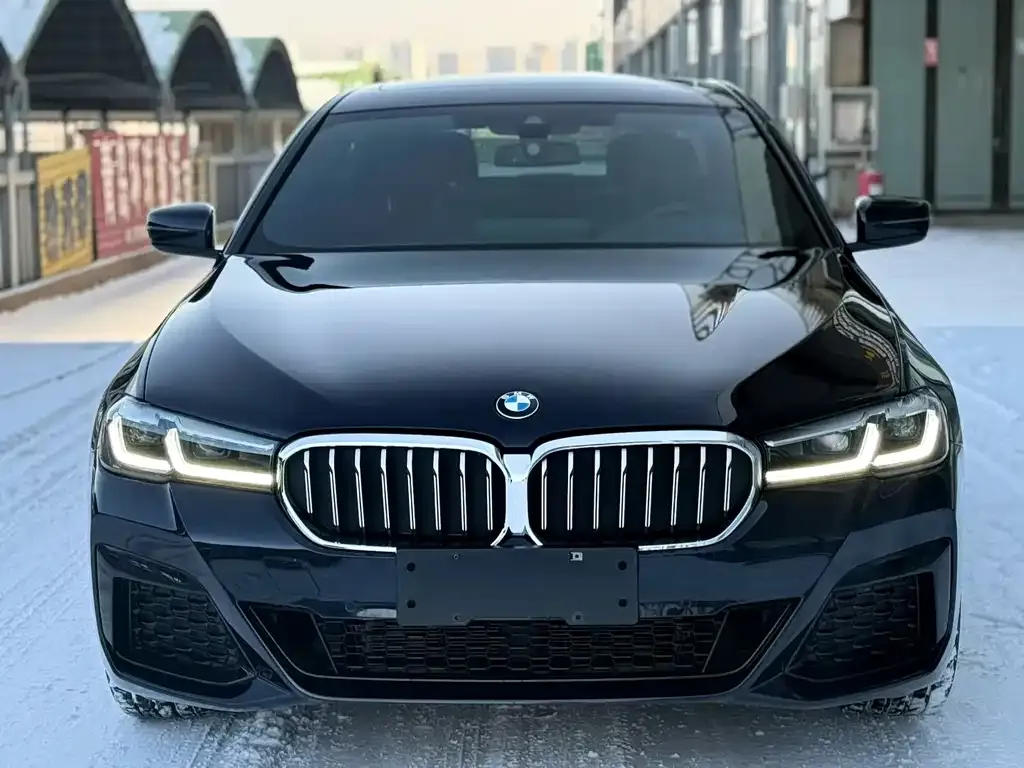 BMW 5 Series 2021 из CN, фото 2