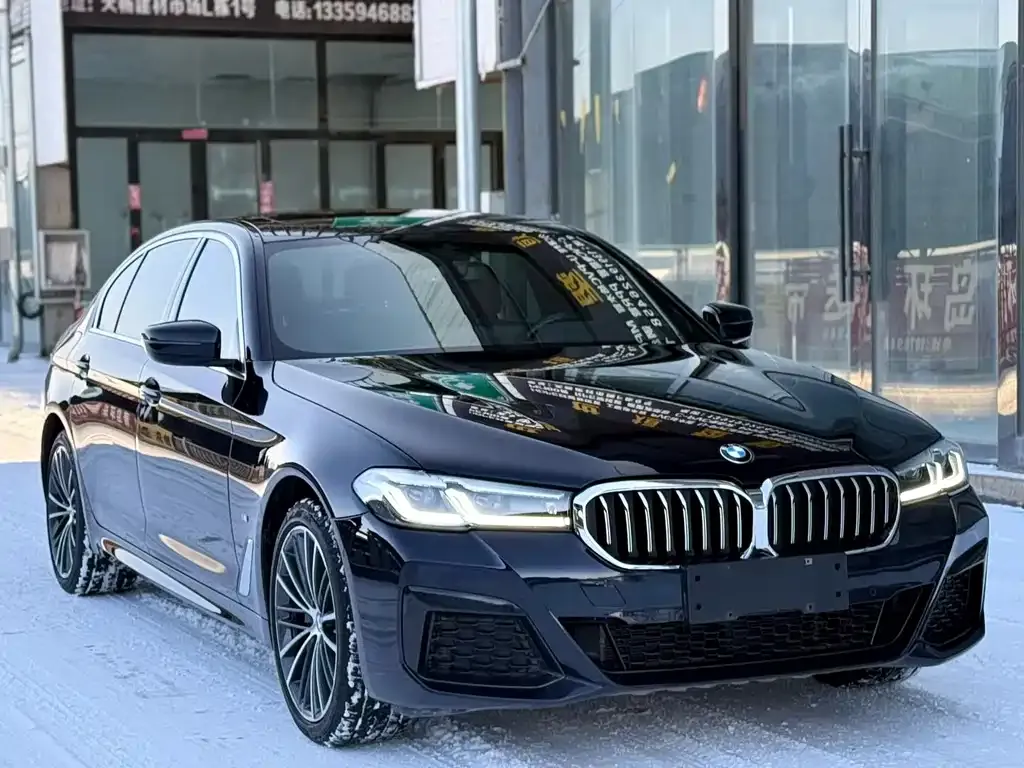 BMW 5 Series 2021 из CN, фото 3