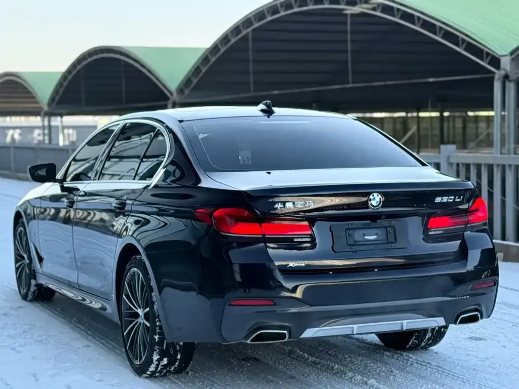 BMW 5 Series 2021 из CN, фото 4