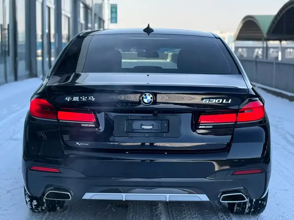 BMW 5 Series 2021 из CN, фото 5