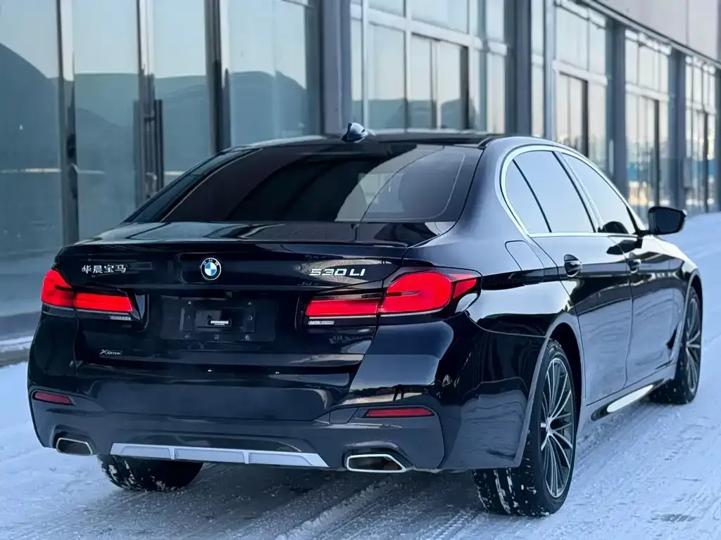 BMW 5 Series 2021 из CN, фото 6