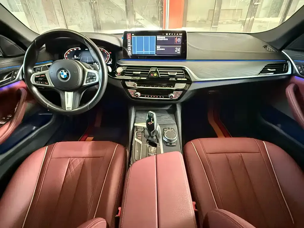 BMW 5 Series 2021 из CN, фото 8