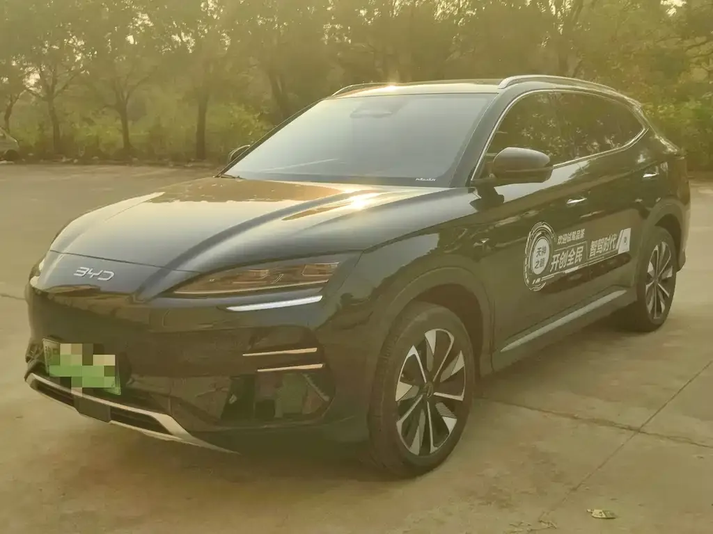 BYD PLUS New Energy 2025 из CN, фото 1
