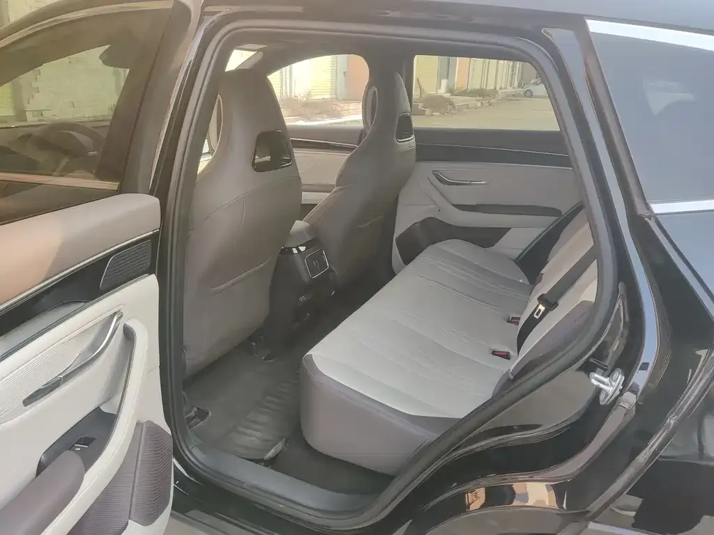 BYD PLUS New Energy 2025 из CN, фото 5