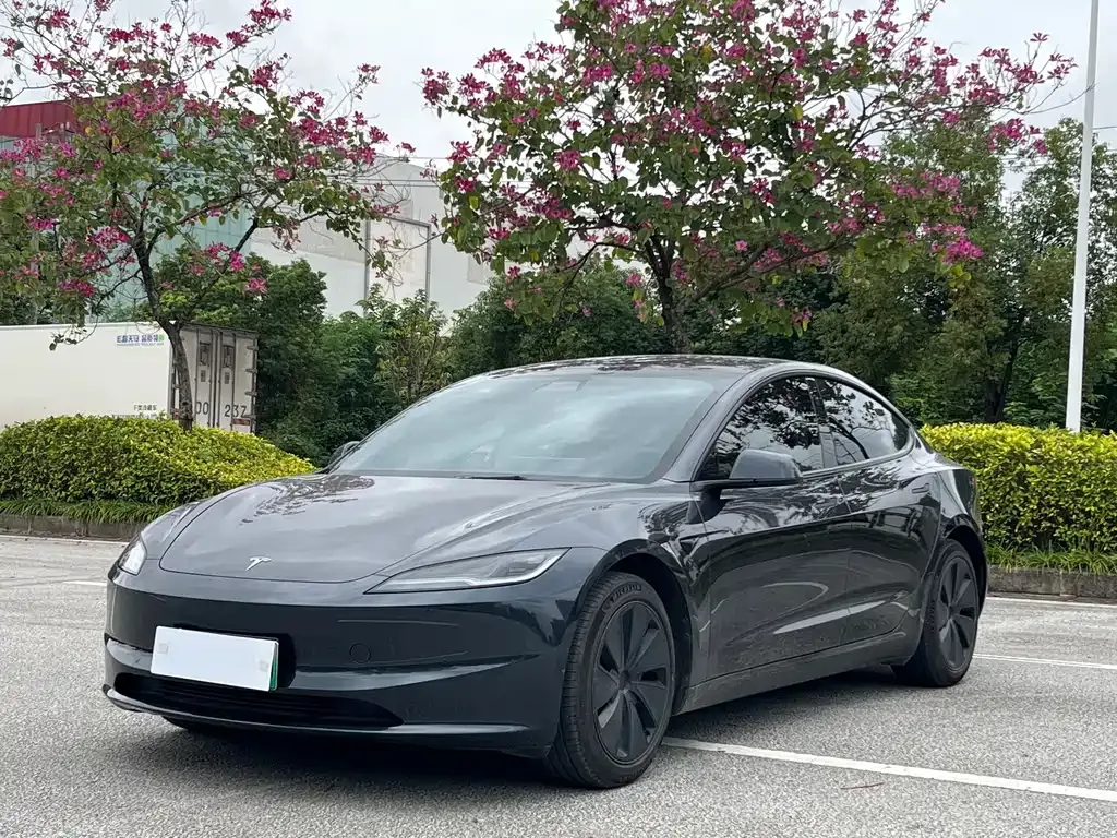 Tesla Model 3 2024 из CN, фото 1
