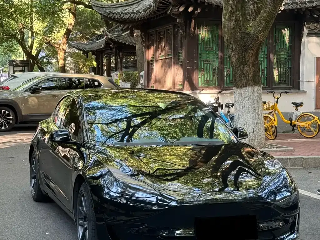 Tesla Model 3 2021 из CN, фото 1