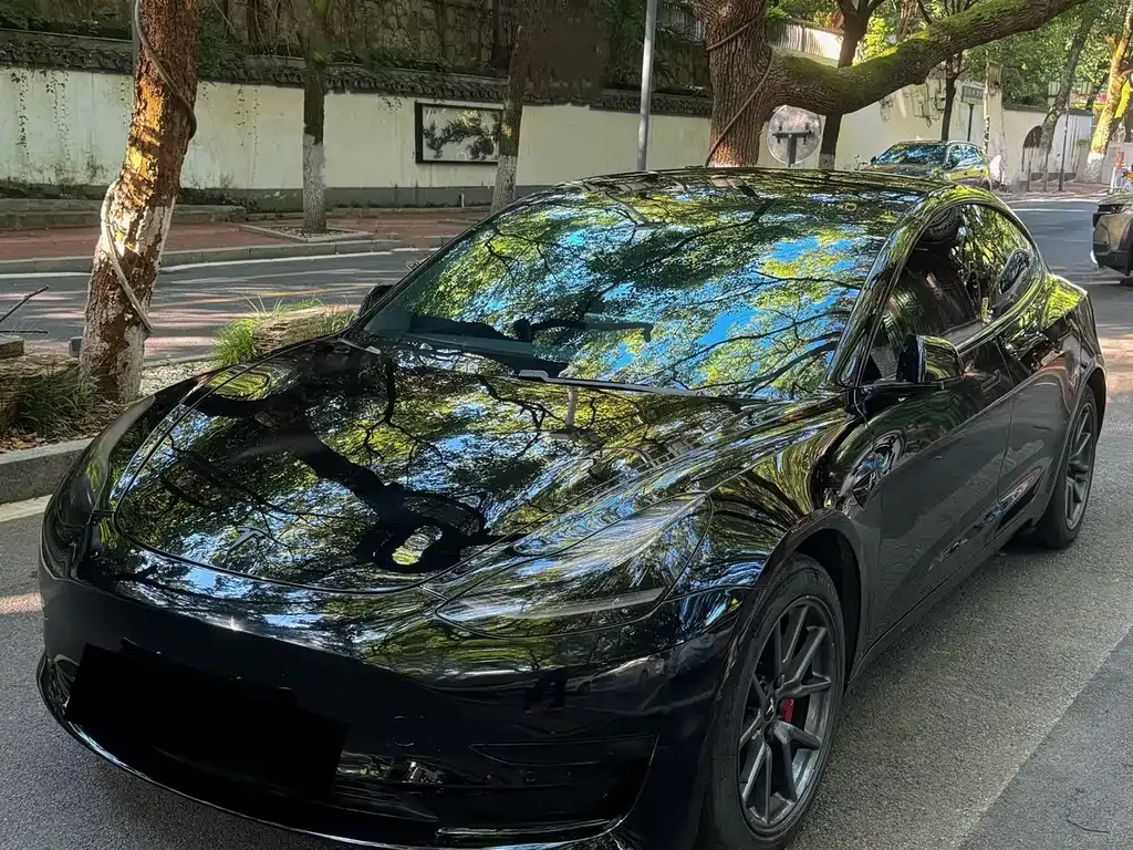 Tesla Model 3 2021 из CN, фото 10