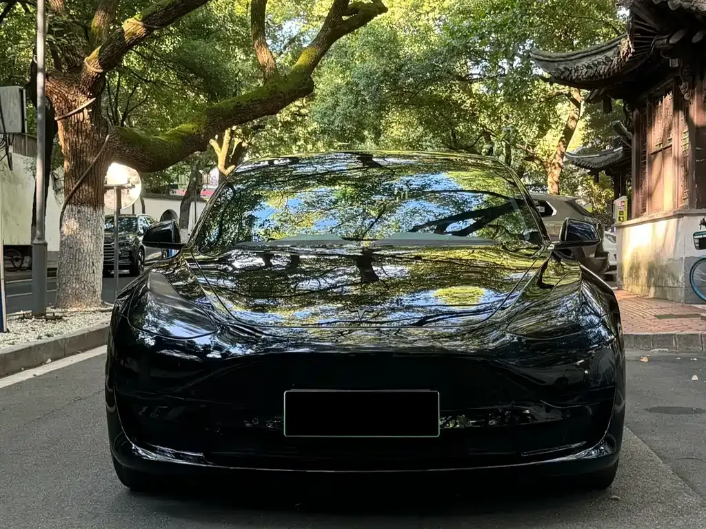 Tesla Model 3 2021 из CN, фото 2