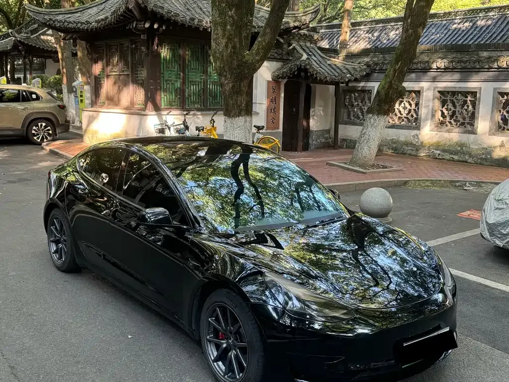 Tesla Model 3 2021 из CN, фото 3