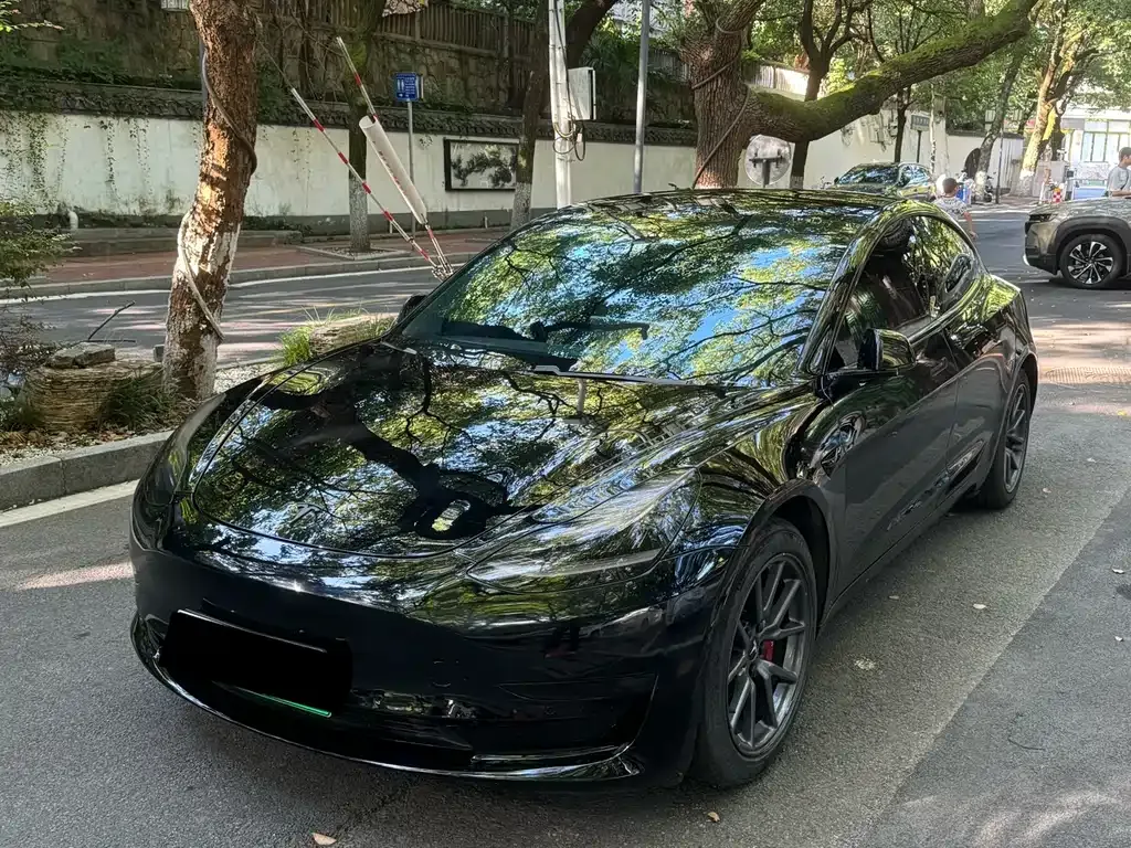 Tesla Model 3 2021 из CN, фото 4