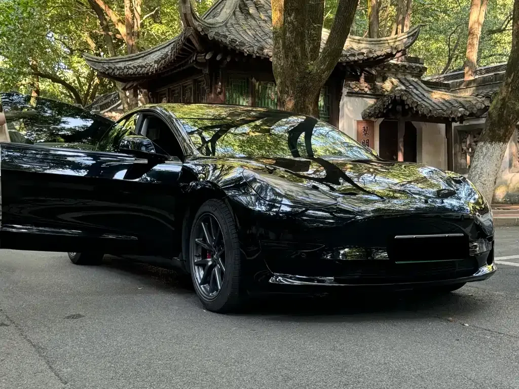 Tesla Model 3 2021 из CN, фото 5