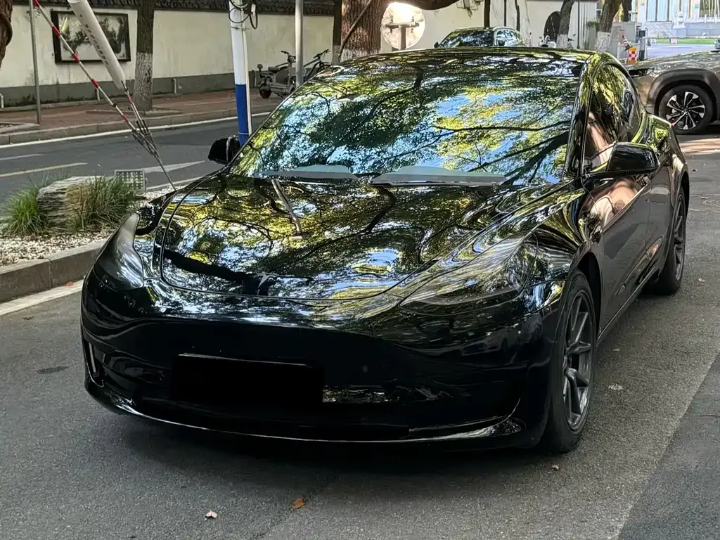 Tesla Model 3 2021 из CN, фото 6