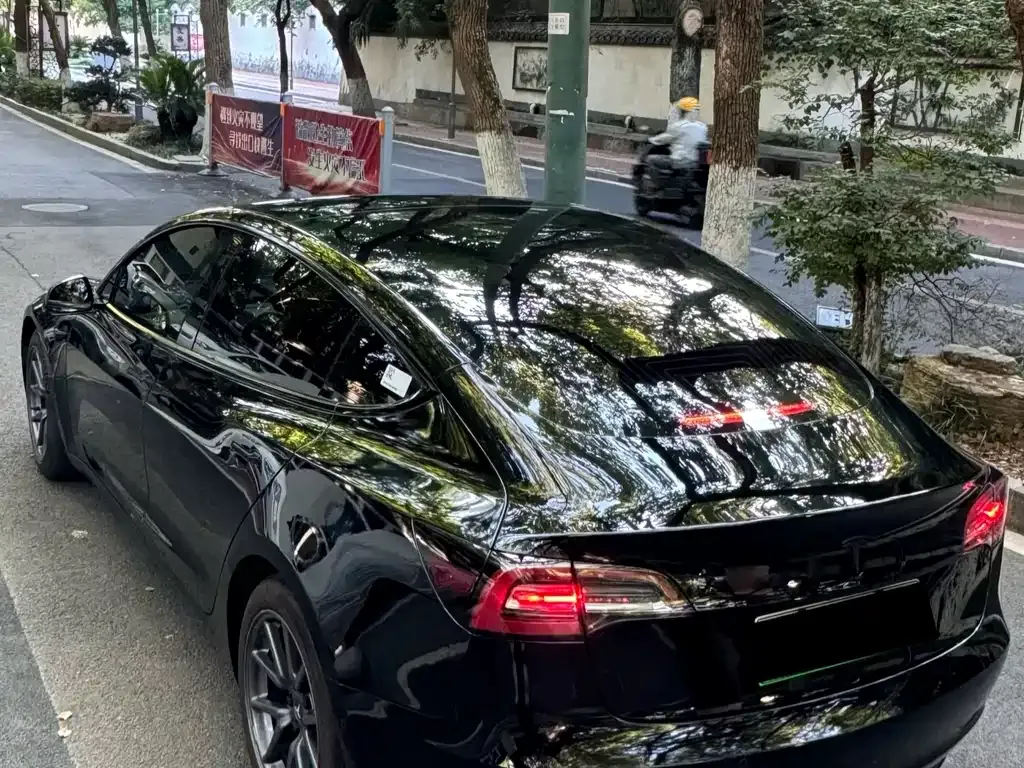 Tesla Model 3 2021 из CN, фото 7