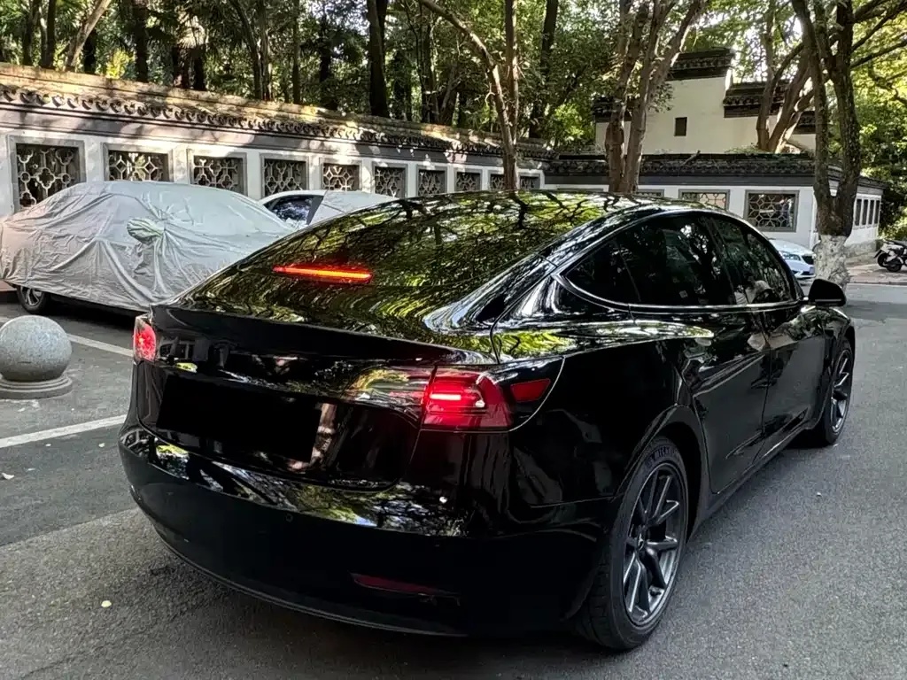 Tesla Model 3 2021 из CN, фото 9