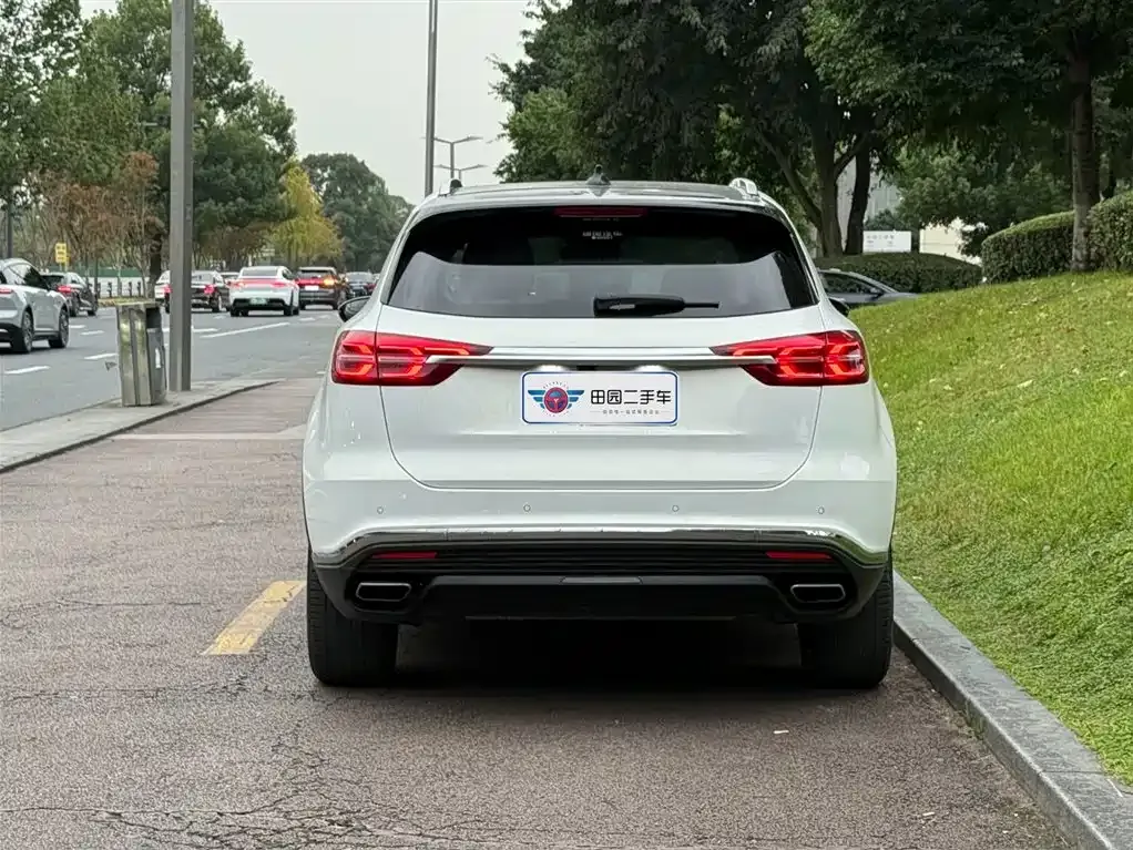 Hongqi HS5 2021 из CN, фото 5