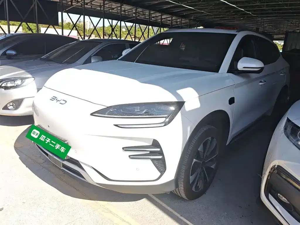 BYD PLUS New Energy 2025 из CN, фото 2