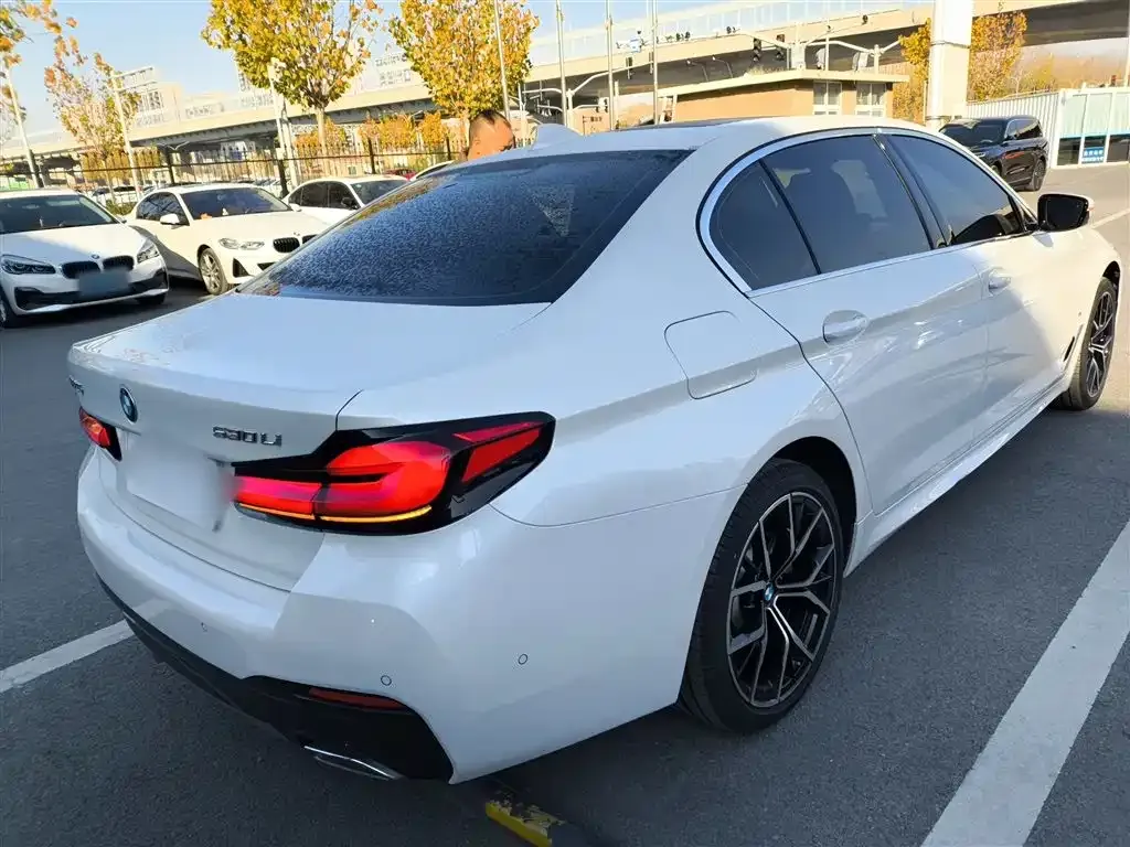 BMW 5 Series 2022 из CN, фото 7