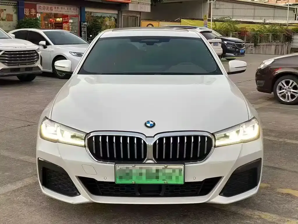 BMW 5 Series New Energy 2021 из CN, фото 3