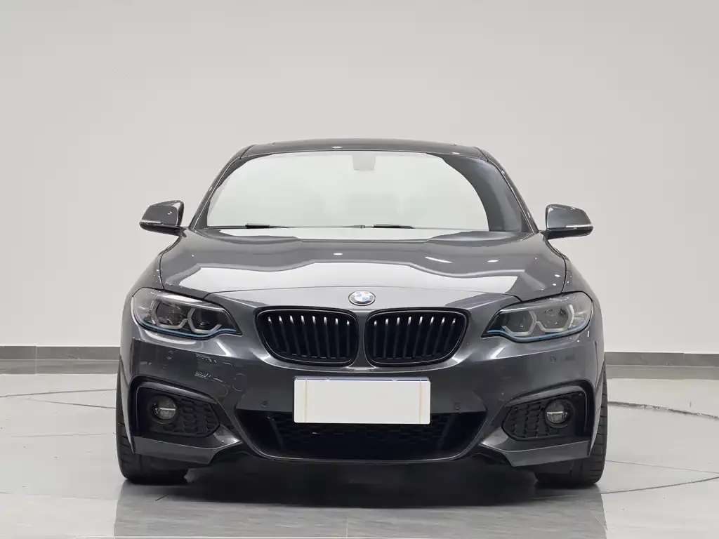 BMW 2 Series (Import) — фото 10