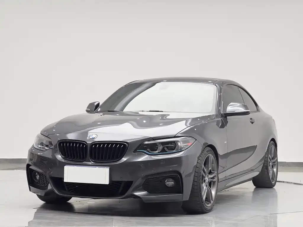 BMW 2 Series (Import) — фото 9
