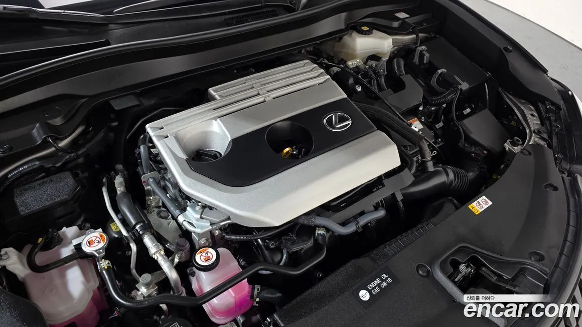 Lexus UX 2024 из KR, фото 6