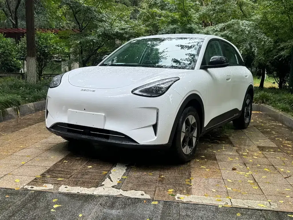 Geely Starburst — фото 10