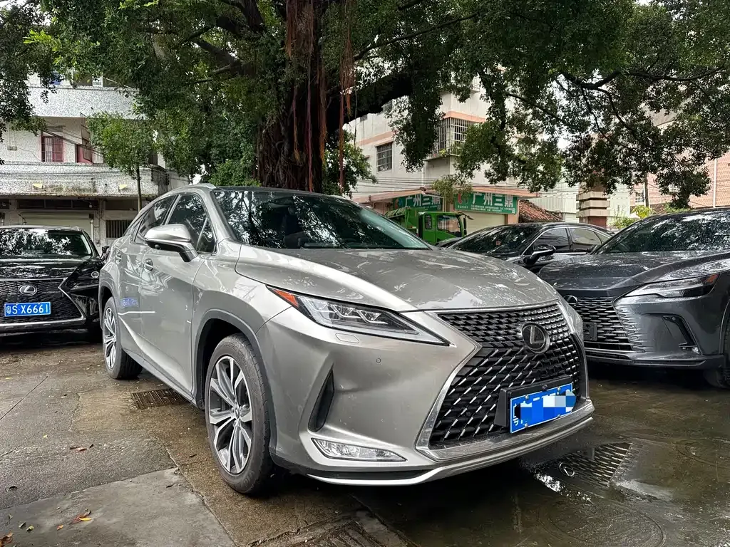 Lexus RX 2022 из CN, фото 1