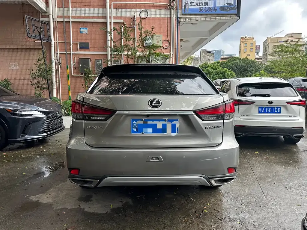 Lexus RX 2022 из CN, фото 8