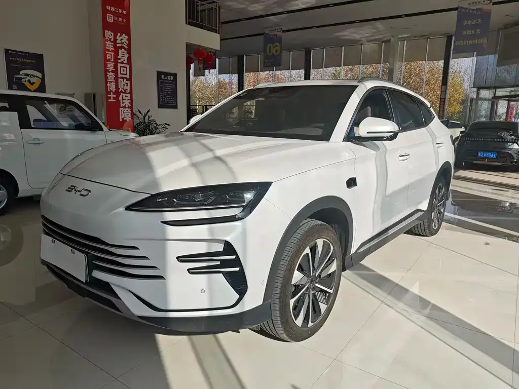 BYD PLUS New Energy 2025 из CN, фото 1